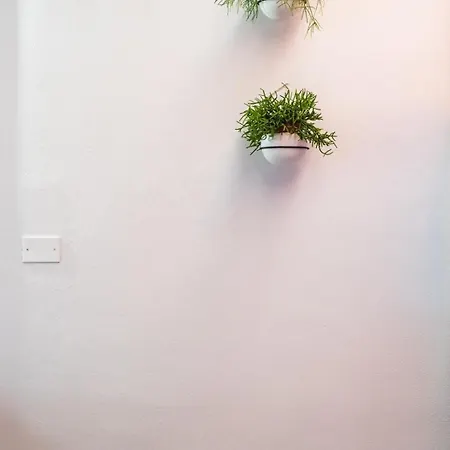 Apartman Cozy Parlamento Palermo